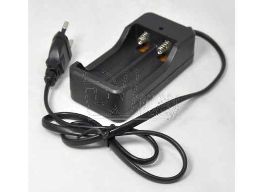 Зарядное устройство для 2-х аккумуляторов ZJ 3009