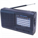 Радиоприемник GOLONE RX-3040